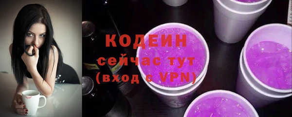 стаф Инсар