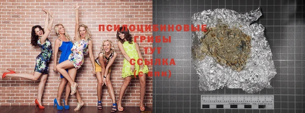 стаф Инсар