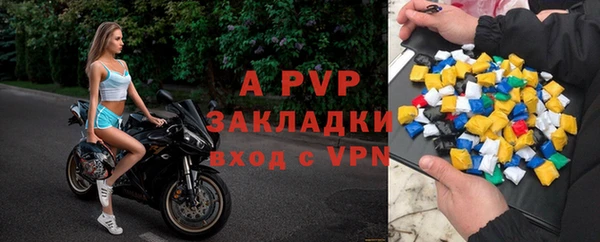 гашик Иннополис