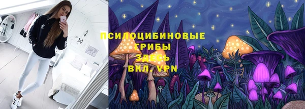 стаф Инсар
