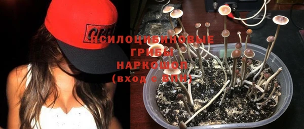 спиды Инта