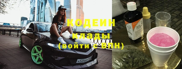 стаф Инсар