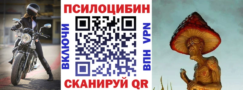 Псилоцибиновые грибы MAGIC MUSHROOMS Сертолово