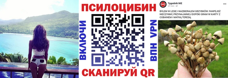 Галлюциногенные грибы Psilocybine cubensis  Купить где  Сертолово 